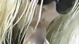 ความงาม วิดีโอ โป่ R ...
